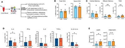 Phenotypic and Epigenetic Adaptations of Cord Blood CD4+ T Cells to Maternal Obesity